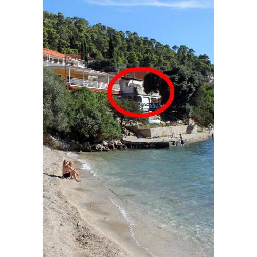 Apartments by the sea Brna, Korcula - 4425