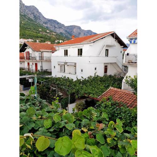 Apartments by the sea Podaca, Makarska - 515