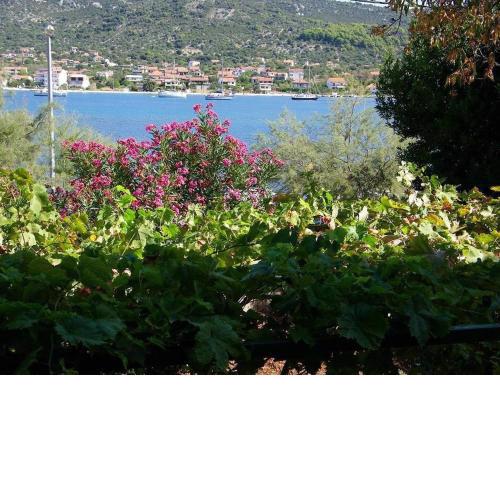 Apartments Fran-30m from sea