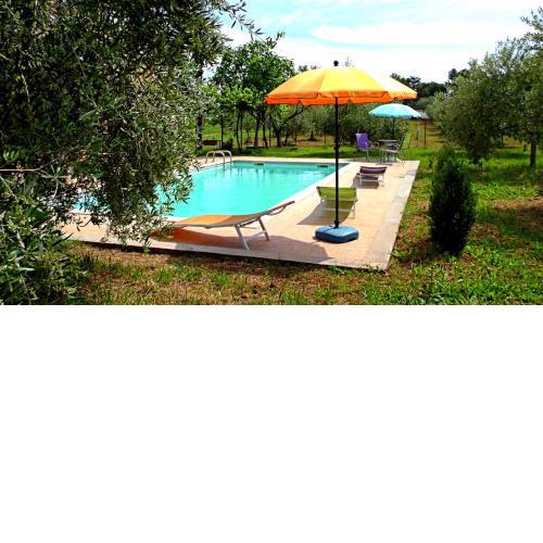 Apartments Garden Monsena