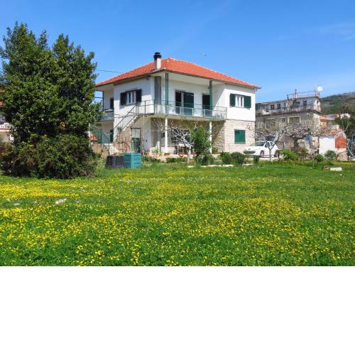 Apartments Grubisin