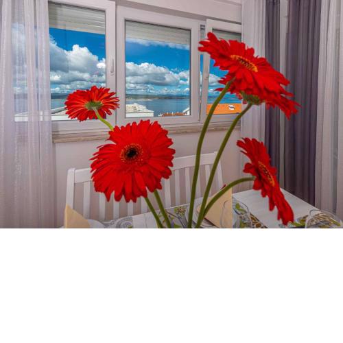 Apartments in Crikvenica 41205