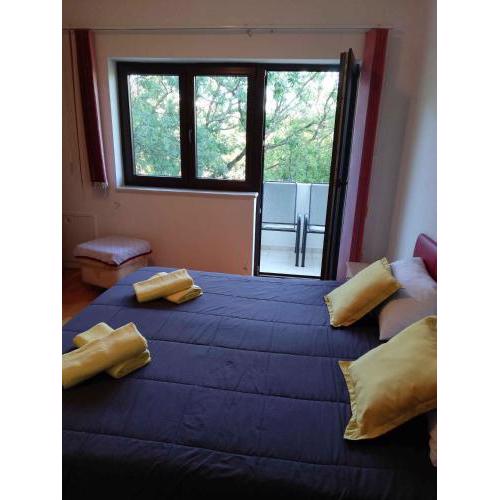 Apartments in Crikvenica 41855
