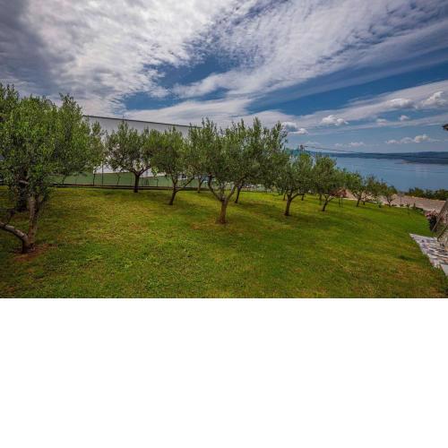 Apartments in Crikvenica 43070