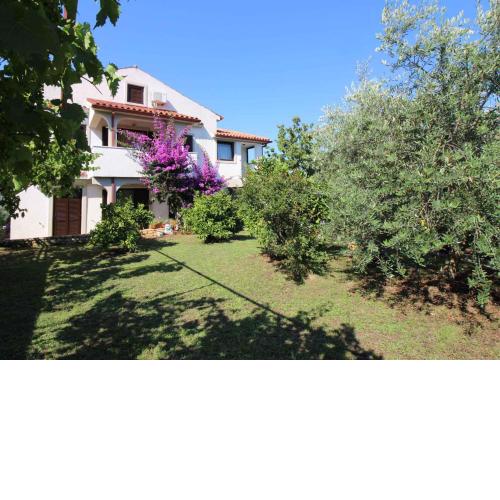 Apartments in Porec/Istrien 10072
