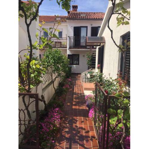 Apartments in Porec/Istrien 37216