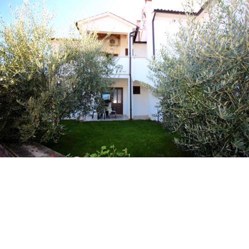 Apartments in Porec/Istrien 38721