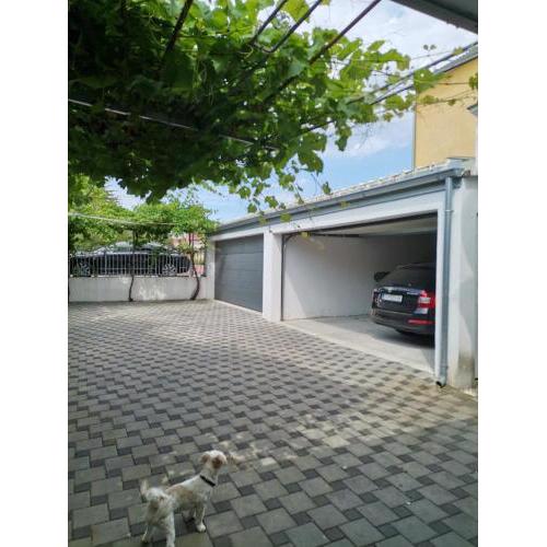 Apartments Josip