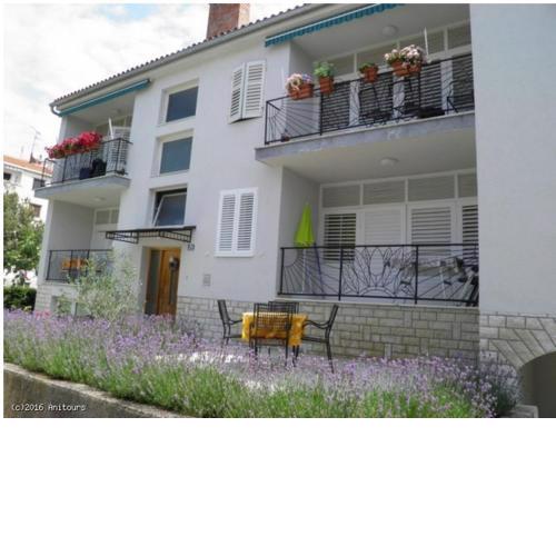 Apartments Jurcan