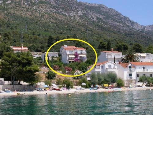 Apartments Kate - 20m from the beach