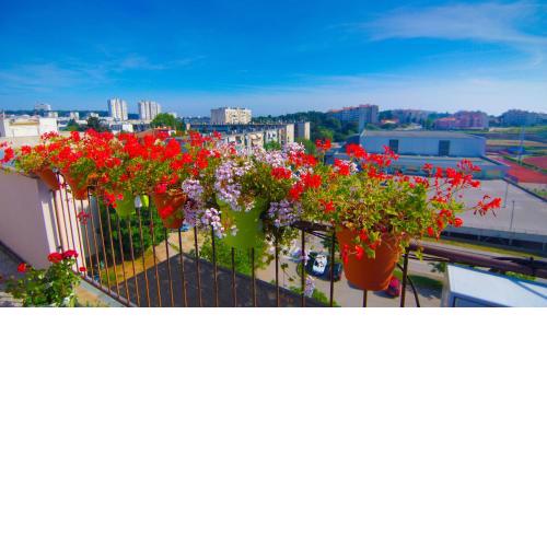 Apartments Katica