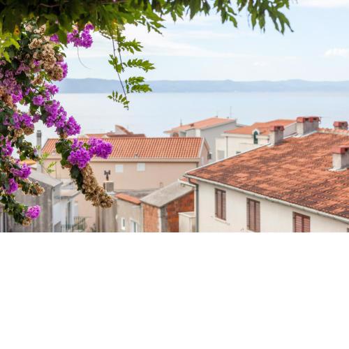 Apartments Leut