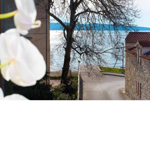 Apartments Magli