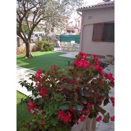 Apartments Obelix