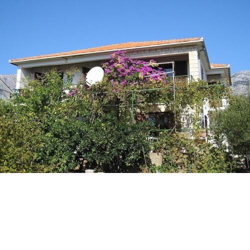 Apartments Silvija - 50 m from sea
