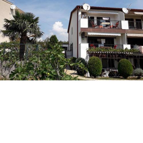 Apartments Svjeta