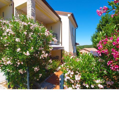 Apartments Vinkuran 2110