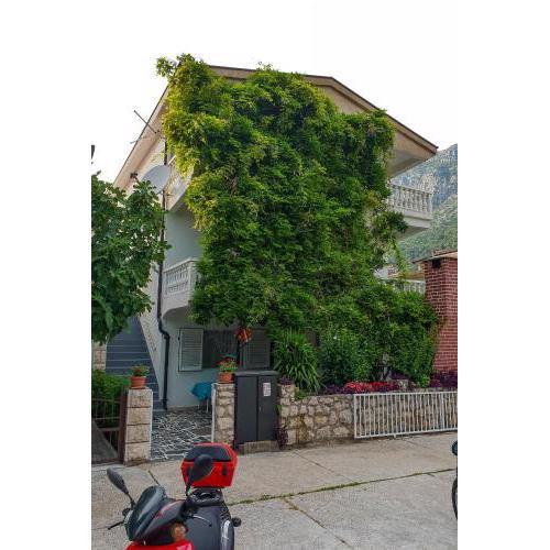 Apartments with a parking space Podaca, Makarska - 312