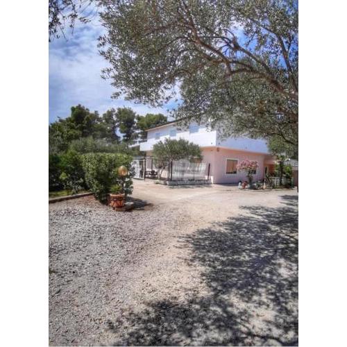 Apartments with a parking space Vir - 20163