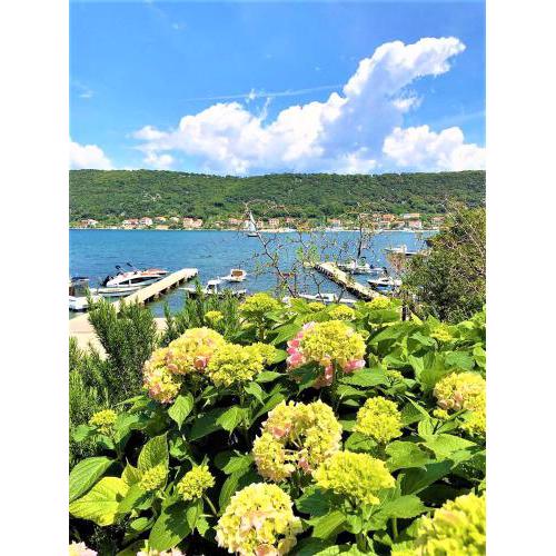 Apartments with boat mooring Marija