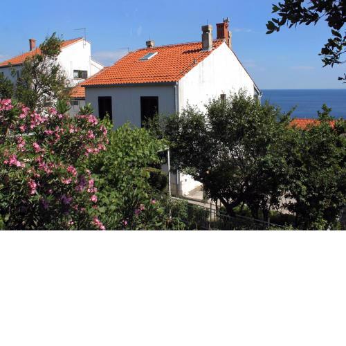 Apartments with WiFi Dubrovnik - 9083