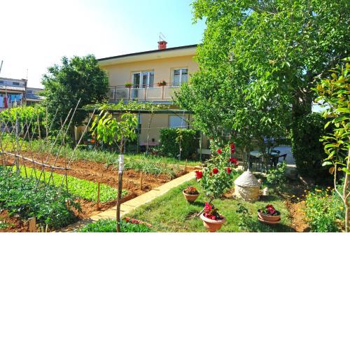 Apartments with WiFi Pula - 15813