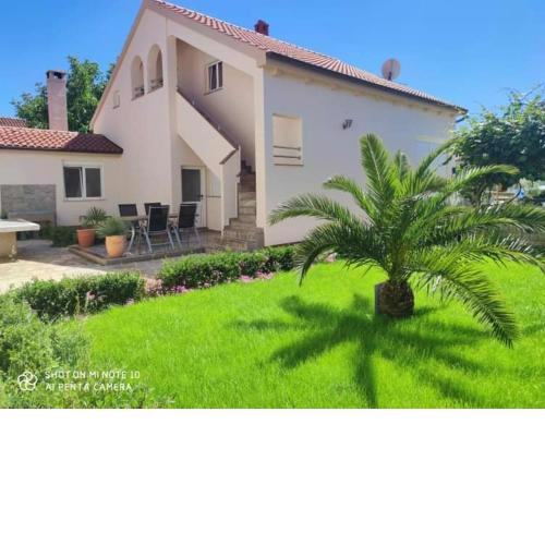 Apartments Zelic