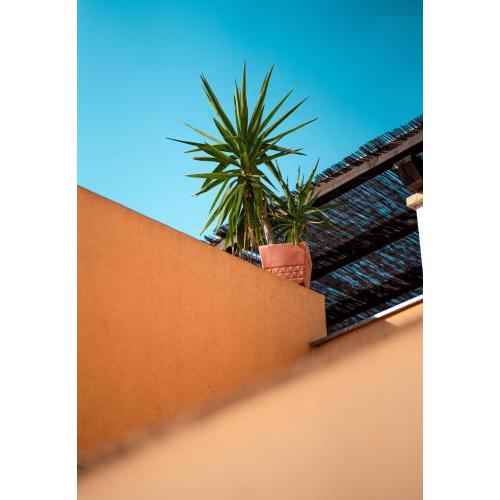 Backpackers Home