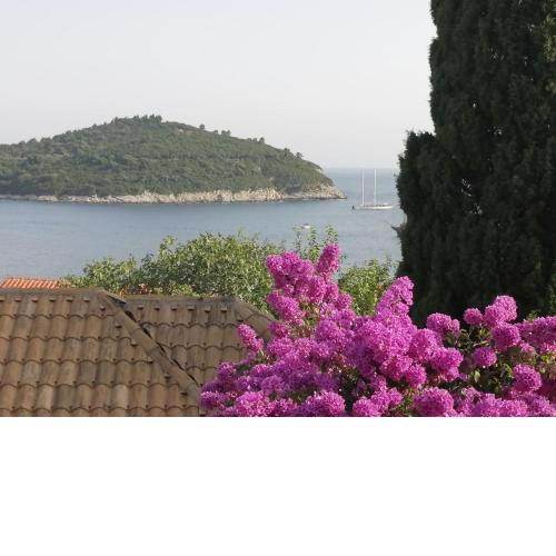 Banje House