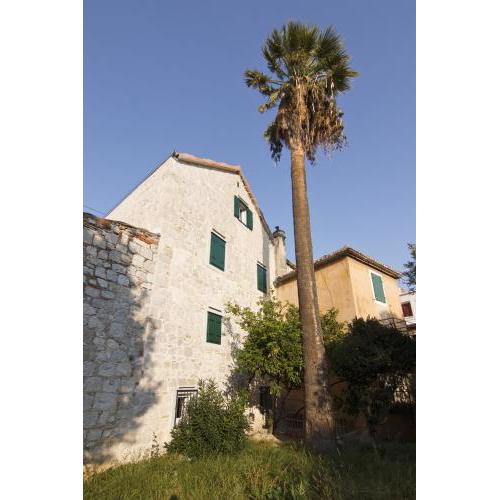 Bed & Breakfast Vila Baguc