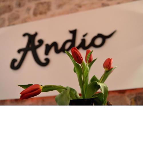 Bed&Breakfast Andio