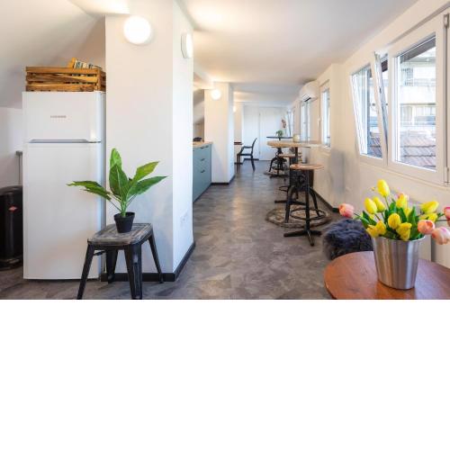 Big Apartment for 14 at Maksimir-GREAT FOR GROUPS