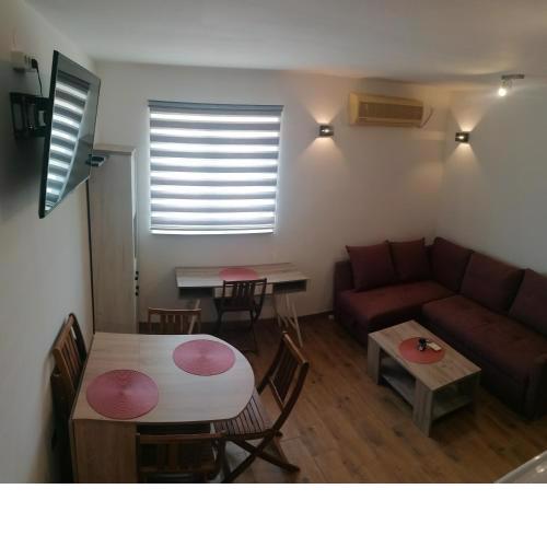 BRAUN APARTMENT