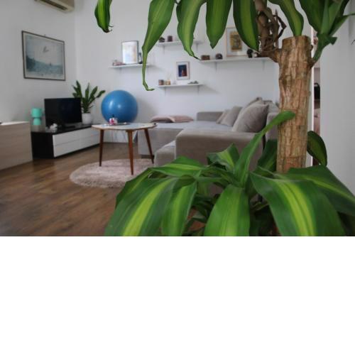 Cosy apartment - 10 minutes walk to sea