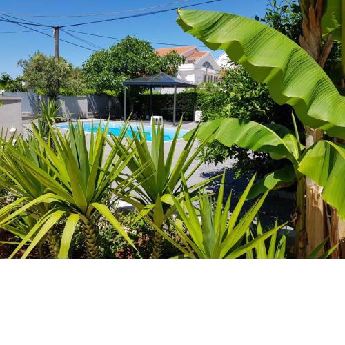 Crowonder Lucky Holiday House with Pool and Patio 30 meters from the Beach