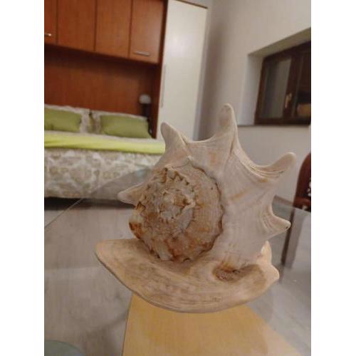 Dalmatia Rustica comfortable one bedroom+fireplace