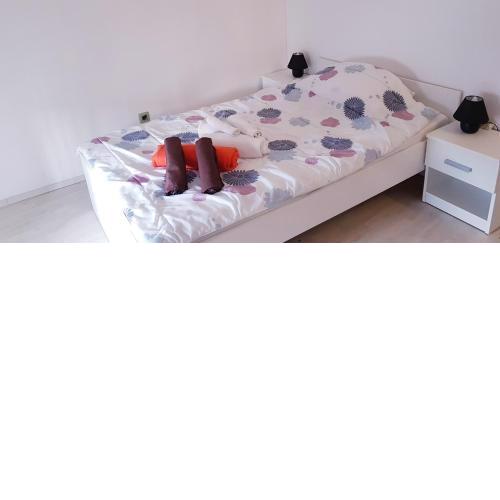 DAMIAN APARTMENTs