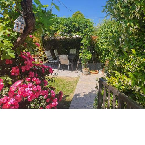 Garden apt near the beach, kid & pet friendly