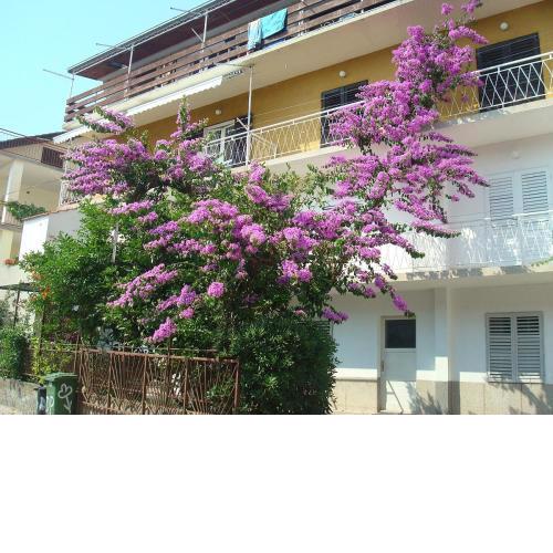Guest house Milic