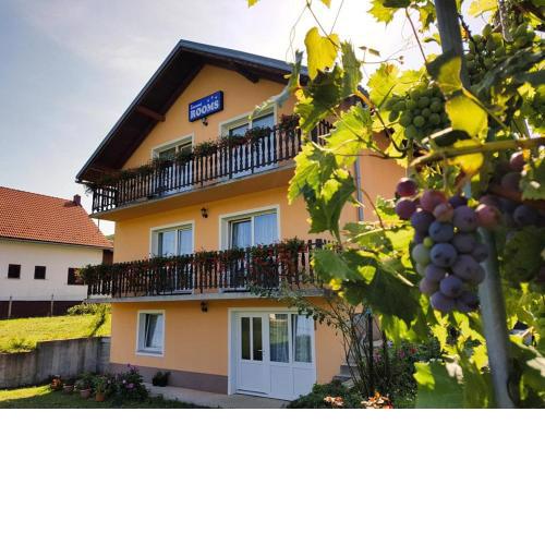 Guest House Toic