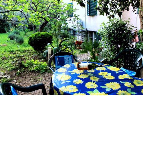 Guest house with garden - Zuvan