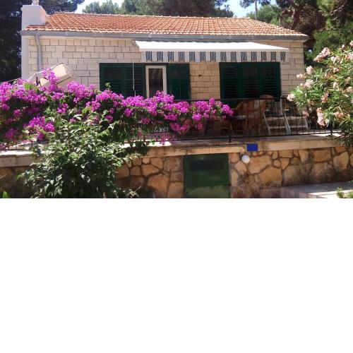 Holiday Home Dragan - 50m from sea