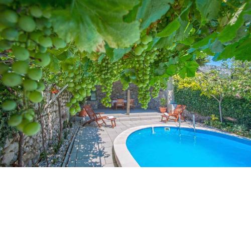 Holiday home in Grizane 5373