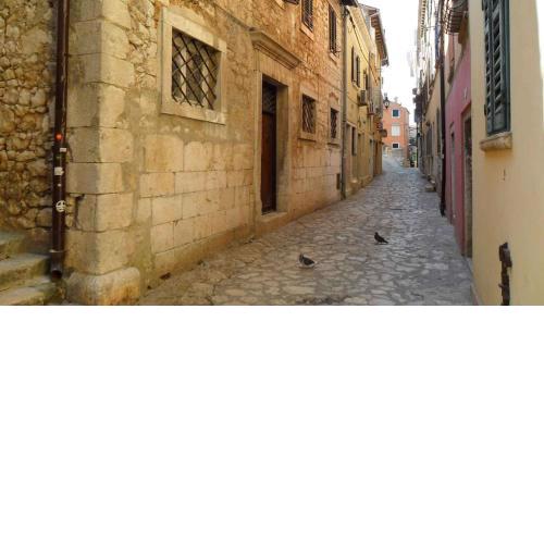Holiday home in Rovinj/Istrien 11530