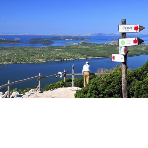 Holiday house in Pakoštane with sea view, terrace, air conditioning, Wi-Fi (4852-1)