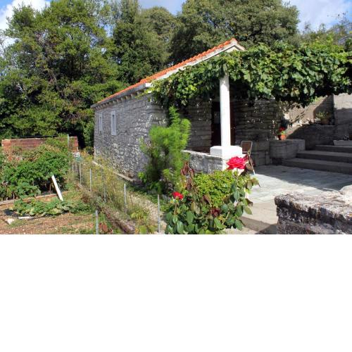 Holiday house with WiFi Zrnovo, Korcula - 4876