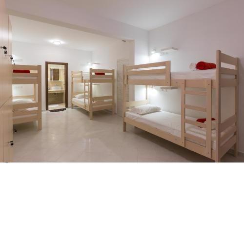 Hostel Free Bird