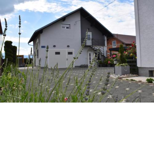 House Burić