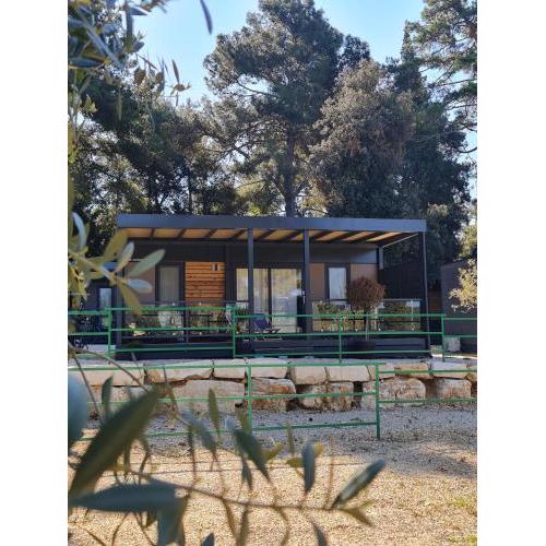 LUXURY MOBILE HOMES IVACI