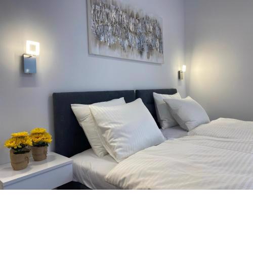 Luxury Studios & Room Five